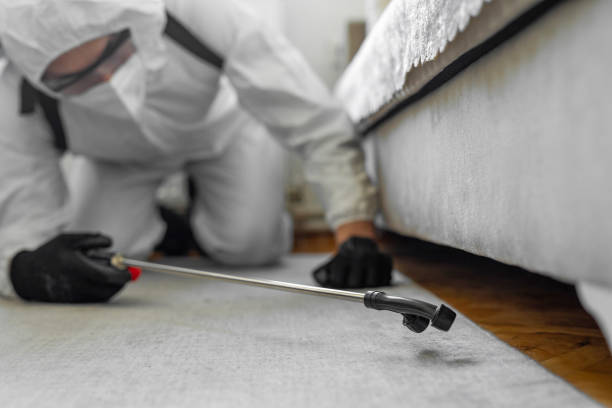Professional Termite Control technician working in Edgewood, FL