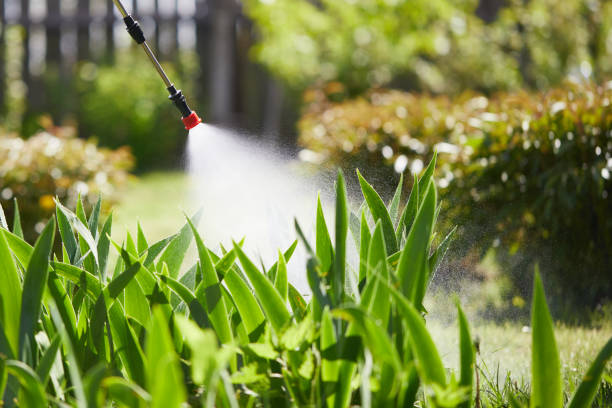 24/7 Emergency Termite Control experts in Edgewood, FL