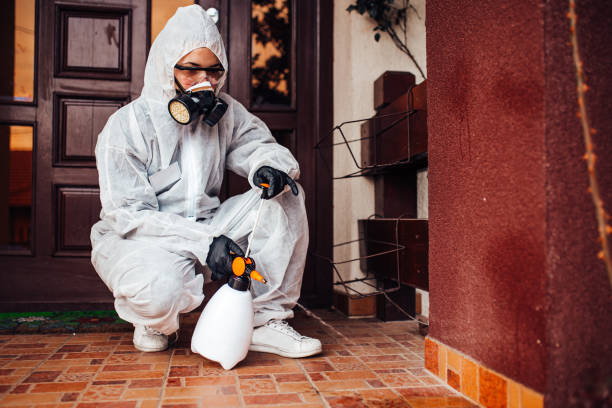 Reliable Termite Control contractor in Edgewood, FL by Nex Pest Control