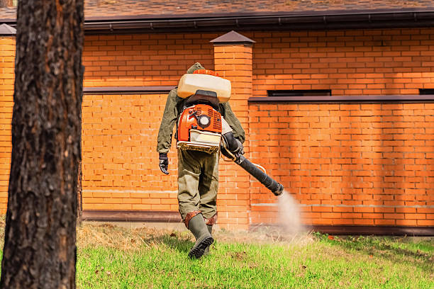 Trusted Termite Control service in Edgewood, FL - Nex Pest Control